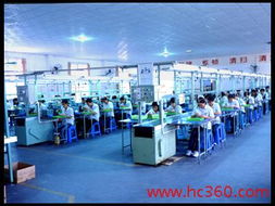 东莞市石碣得圣电子厂公司网络技术应用与发展